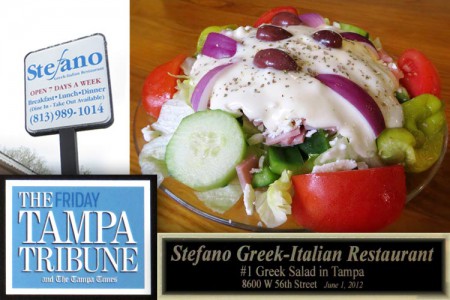 Read more about the article Number 1 Greek Salad in Tampa – Stefano Greek Italian Restaurant